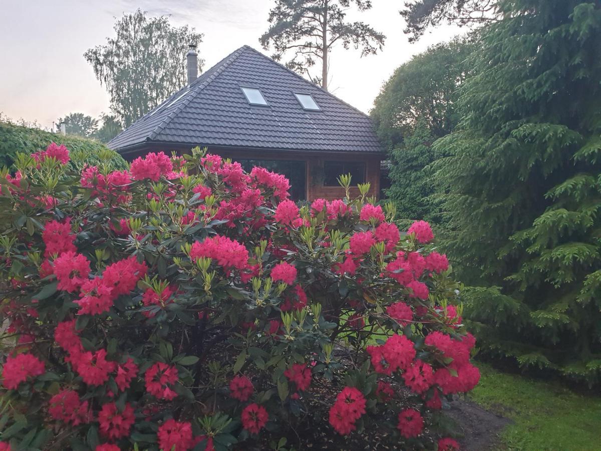 Bitte Three Bedroom Design Cottage Юрмала Экстерьер фото